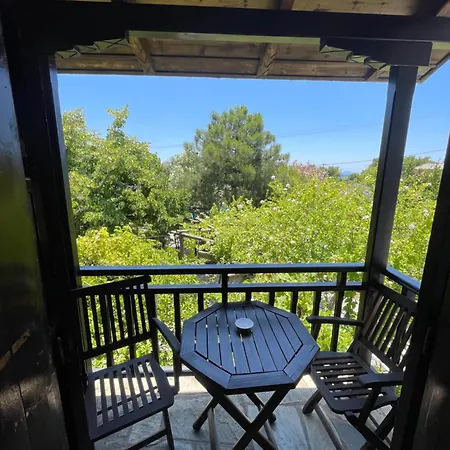 Saily Hotel