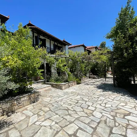 Saily Hotel