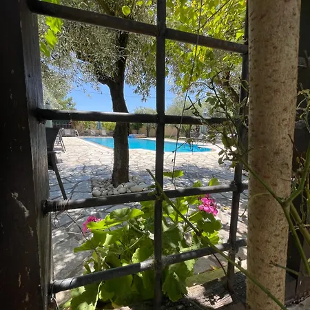 Saily Hotel