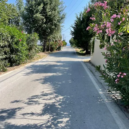Saily 2* Koropi